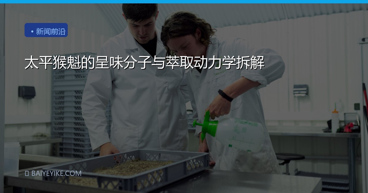 太平猴魁的呈味分子与萃取动力学拆解