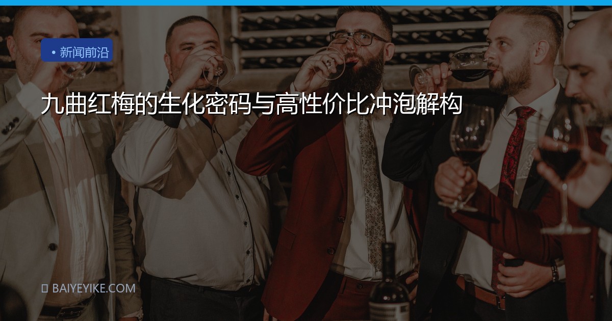 九曲红梅的生化密码与高性价比冲泡解构