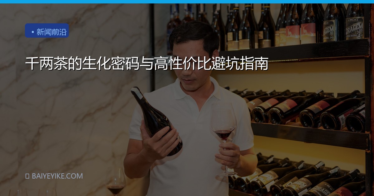 千两茶的生化密码与高性价比避坑指南